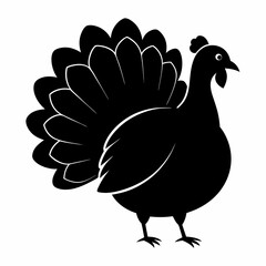 Turkey bird vector illustration, türkiye vector art, Thanksgiving türkiye bird silhouette, chicken with a chicken