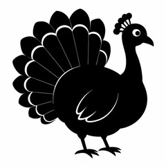 Turkey bird vector illustration, türkiye vector art, Thanksgiving türkiye bird silhouette, chicken with a chicken