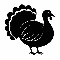 Turkey bird vector illustration, türkiye vector art, Thanksgiving türkiye bird silhouette, chicken with a chicken