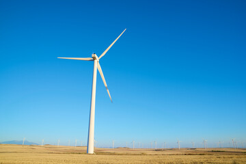 Fototapeta premium Wind turbine generators for sustainable electricity production