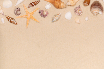 Sandy beach background with seashells and starfish. natural sand textured background. summer holiday vacations concept with empty space. resort beach. top view.