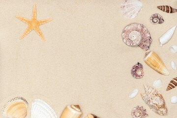 Sandy beach background with seashells and starfish. natural sand textured background. summer holiday vacations concept with empty space. resort beach. top view.