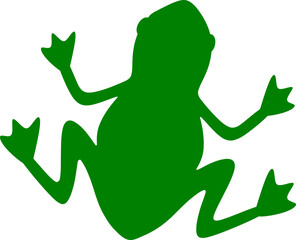 Frog Illustration