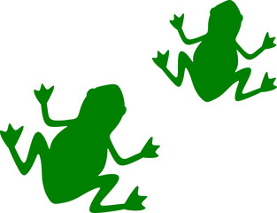 Obraz premium Frog Illustration