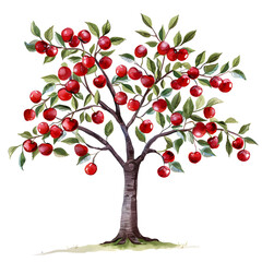 Fototapeta premium Trees front view, PNG, watercolor style vector tree, cherry plum tree, architectural element, PNG bundle, vector clipart, transparent background 