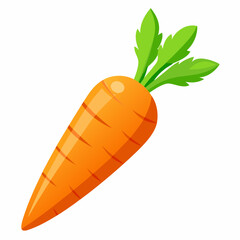 carrot vector illustration on white background