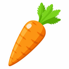 carrot vector illustration on white background