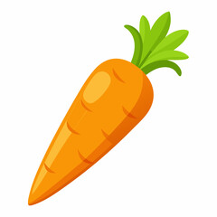 carrot vector illustration on white background