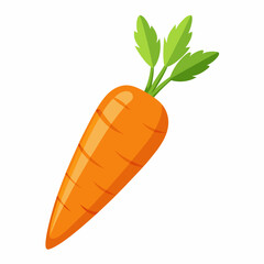carrot vector illustration on white background
