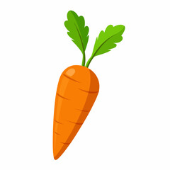 carrot vector illustration on white background