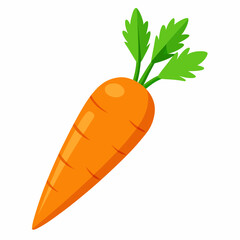 carrot vector illustration on white background