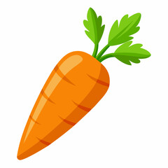carrot vector illustration on white background