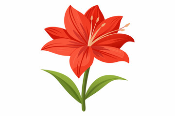 Amaryllis flower vector illustration