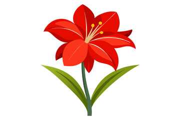 Amaryllis flower vector illustration