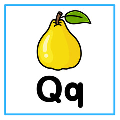 quince alfabet q illustration © Rahmatullah