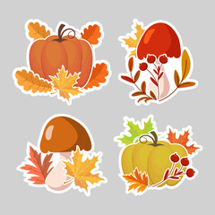 Set of autumn stickers, pumpkins, acorns, mushrooms with autumn leaves and rowan. Illustration, icons, template, vector