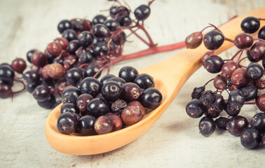 Fresh elderberry containing vitamins and minerals. Healthy nutrition, natural methods of treatment