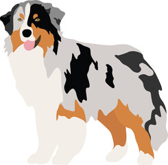 Australian Shepherd Dog Minimal Flat Vector Illustration