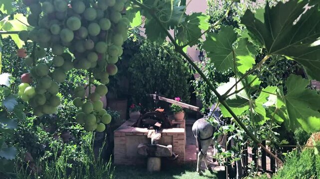 Noria o molino de agua antiguo en jard&iacute;n