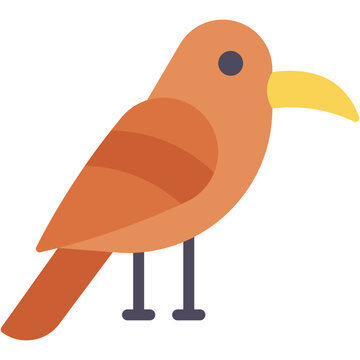 recommend clip art: Vector Icon Hornbill, Ornithology, Zoo, Bird, Animals, Animal