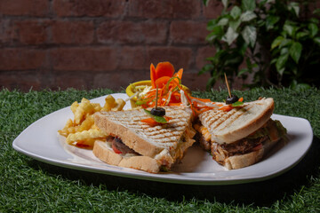 sandwich | grill sandwich | fries | fast food | lunch | dinner