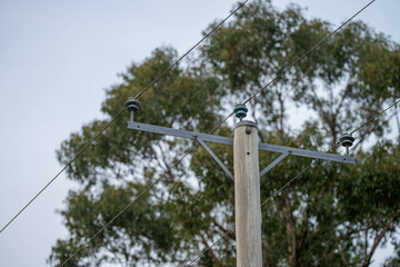 power poles and power lines in the forest being a fire risk