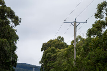 power poles and power lines in the forest being a fire risk