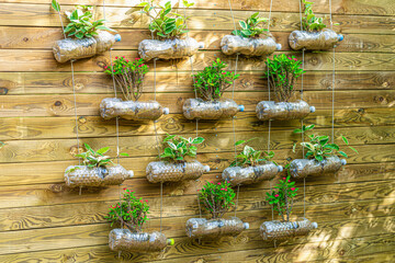 A wall-mounted plant made from recycled PET bottles.