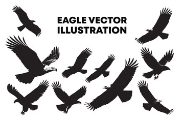 Eagle bird flying silhouette illustration