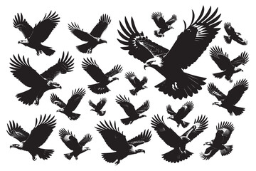 Obraz premium Eagle bird flying silhouette illustration