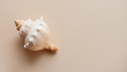 Obraz premium Close-up of seashell, conch on beige backdrop. Natural element. Top view.