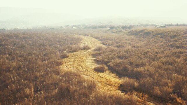 breathtaking picture of a foggy rocky landscape with partial greenery