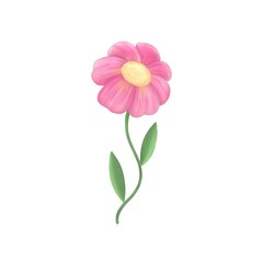 Postcard flower, card, clip art, icon, symbol, 