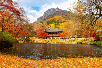 Baekyangsa Temple has beautiful colorful and elegant autumn leaves.