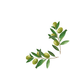Square postcard with branches, green olive berries, leaves. Watercolor illustration isolated on white background. For menu, card, sticker, design