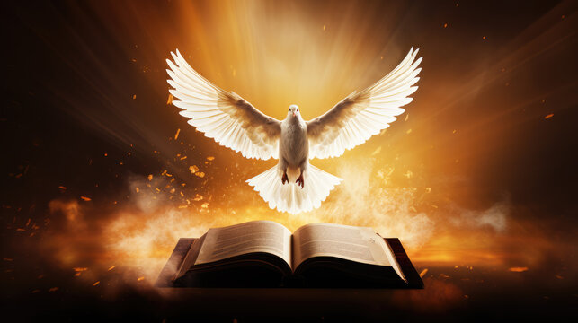 White dove descending upon open bible symbol of holy spirit