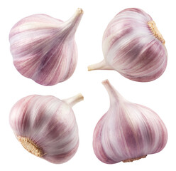 Garlic isolated set. Collection of garlic on a transparent background, from different angles.