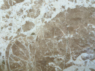 Marble Texture
