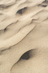 A photo that feels like a desert sand dune.