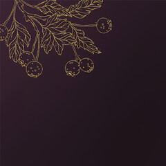 Series of gorgeous autumn floral berries gold ornament  in various elegant background color for card greetings invitation journal announcement cover page and more