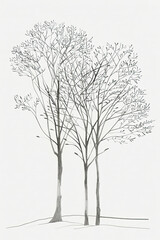 A drawing of some trees in the forest