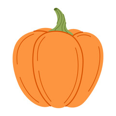 Ripe orange pumpkin. Hand drawn trendy flat style isolated on transparent background. Organic food, Autumn Harvest, Thanksgiving, halloween concept. Healthy vegetarian menu. Vector illustration