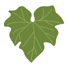 Pumpkin leaf plant. Hand drawn trendy flat style isolated on transparent background. Autumn Harvest, Thanksgiving concept. Vector illustration