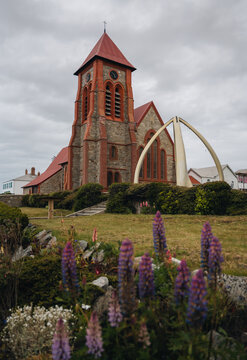 Port Stanley, Falkland Islands - Dec 31, 2023: Christ Church Cathedral, Whale Bone Arch Famous Landmark Building Tourist Destination Lavender Plant.