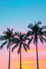 Serene sunset view with vibrant colors casting a beautiful backdrop behind tall palm trees, capturing the essence of tropical tranquility and beauty.