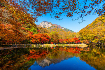 Autumn at Baekyang Temple, famous for its beautifully colored autumn leaves.