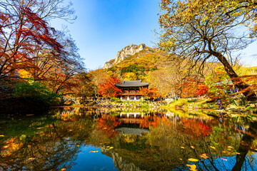 Obraz premium Autumn at Baekyang Temple, famous for its beautifully colored autumn leaves.