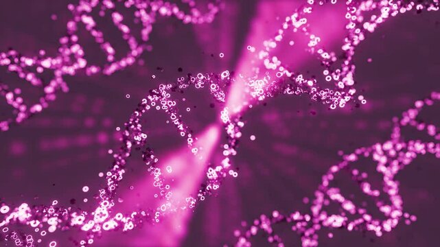 3D animation of pink colored DNA helix moving in loop