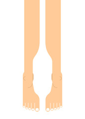 Human legs top view. legs isolated