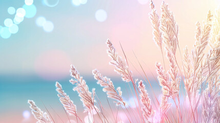 Simple and Stylish Blurred Background for Summer. - Beach vibes. 